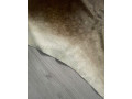 hovadzia-koza-small-2