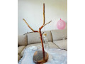 stolove-svietidlo-z-konara-cucoriedky-a-orechoveho-podstavca-small-2