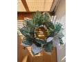 lampa-stolovavysiaca-monstera-small-3