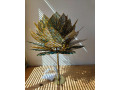 lampa-stolovavysiaca-monstera-small-1