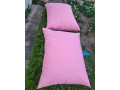 predam-paplony-a-vankuse-s-husacim-perim-small-3