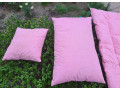 predam-paplony-a-vankuse-s-husacim-perim-small-2