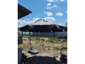 slnecnik-3m-priemer-0948363517-small-0