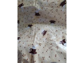 velky-voskovany-ovalny-obrus-155x220-cm-osobny-odber-small-2