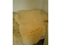ovcie-koze-small-2
