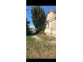 predam-small-0
