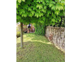 predaj-chalupy-v-kunove-small-1