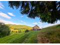 drevenica-s-dusou-tam-kde-lisky-davaju-dobru-noc-small-0