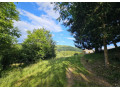 drevenica-s-dusou-tam-kde-lisky-davaju-dobru-noc-small-1
