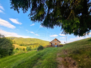 drevenica-s-dusou-tam-kde-lisky-davaju-dobru-noc