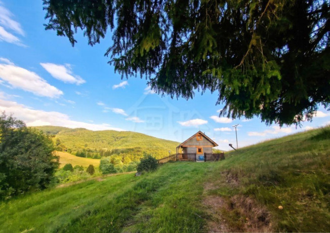 drevenica-s-dusou-tam-kde-lisky-davaju-dobru-noc-big-0