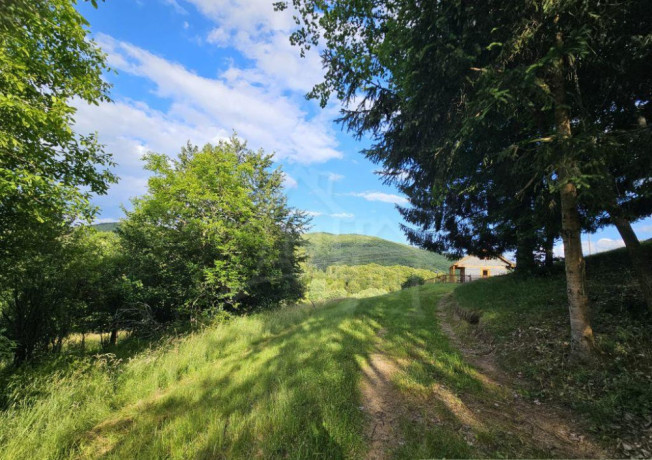 drevenica-s-dusou-tam-kde-lisky-davaju-dobru-noc-big-1