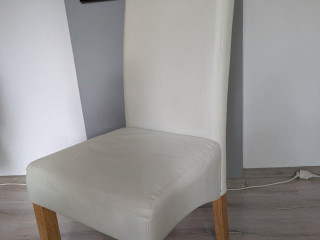 stolicka