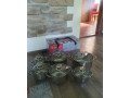 predam-novu-sada-hrncov-bachmayer6-ks-indukcia-small-0