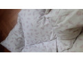 paperova-perina-small-0
