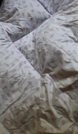 paperova-perina-big-1
