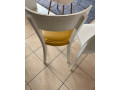 bielo-zlta-stolicka-small-1