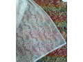 predam-small-1