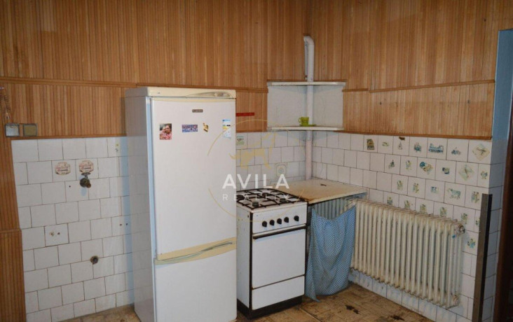 avila-na-predaj-povodny-5izbovy-rd-s-velkorysym-pozemkom-12-big-4