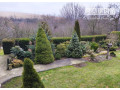 na-predaj-chalupa-v-obci-brestovec-small-4