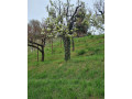 na-predaj-chata-a-pozemok-871-m2-slnava-piestany-small-2