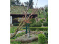 na-predaj-chata-a-pozemok-871-m2-slnava-piestany-small-4