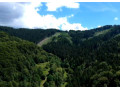 predaj-chaty-domu-zrubu-krasna-priroda-pohorie-javorniky-small-1