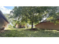 predaj-vinicny-dom-a-zahrada-cechynce-exkluzivne-small-4