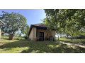 predaj-vinicny-dom-a-zahrada-cechynce-exkluzivne-small-3