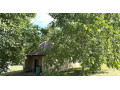 predaj-vinicny-dom-a-zahrada-cechynce-exkluzivne-small-0