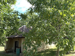 predaj-vinicny-dom-a-zahrada-cechynce-exkluzivne