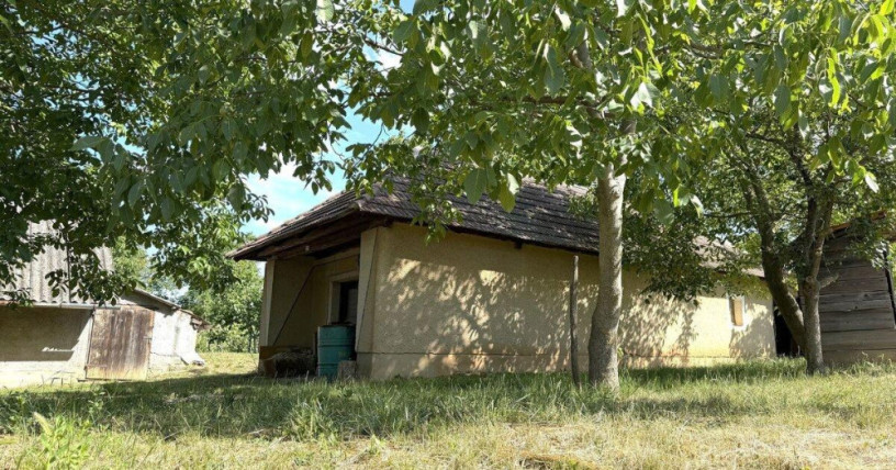 predaj-vinicny-dom-a-zahrada-cechynce-exkluzivne-big-1