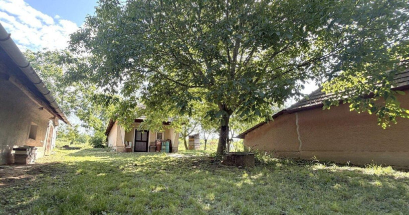 predaj-vinicny-dom-a-zahrada-cechynce-exkluzivne-big-4