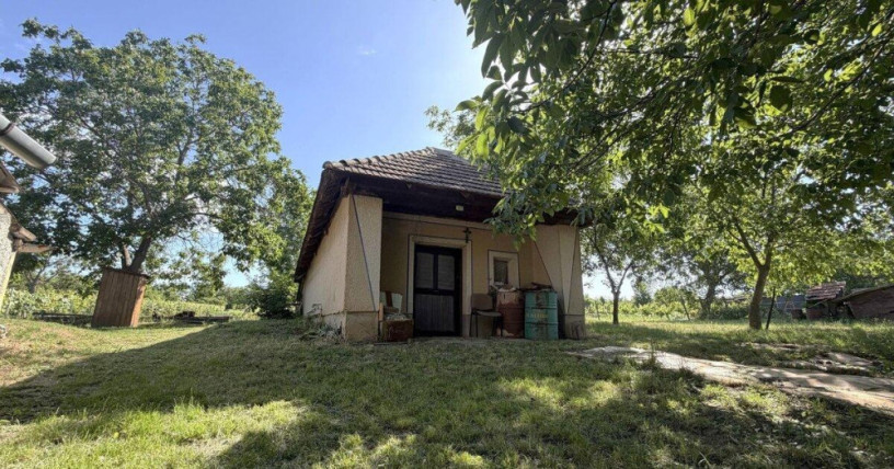 predaj-vinicny-dom-a-zahrada-cechynce-exkluzivne-big-3