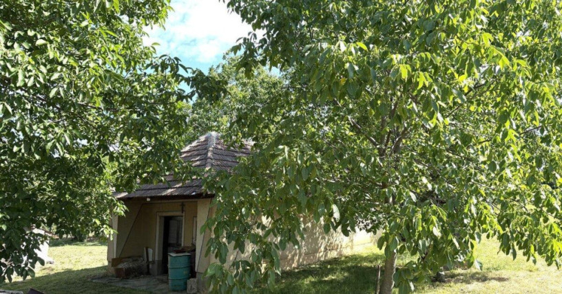 predaj-vinicny-dom-a-zahrada-cechynce-exkluzivne-big-0