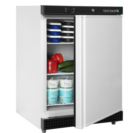 tefcold-ur-200-big-0