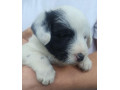 darujeme-steniatka-small-0