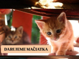 darujeme-maciatka