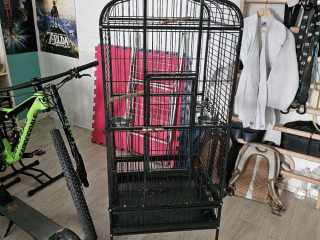 klietka-pre-papagaja