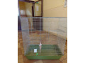 klietka-pre-vtaky-cincli-small-2