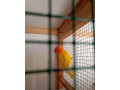 predam-small-0