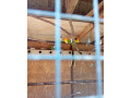 predam-small-1