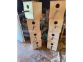 hniezdna-budka-pre-male-papagaje-rozmery-budky-small-0