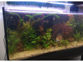 kompletne-275l-akvarium-s-prislusenstvom0919371890-small-3