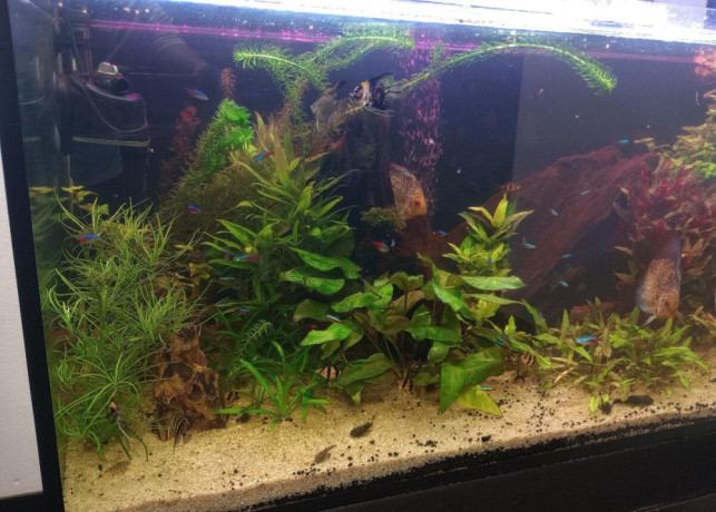 kompletne-275l-akvarium-s-prislusenstvom0919371890-big-2
