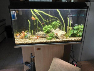 akvarium-200l