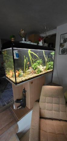 akvarium-200l-big-1