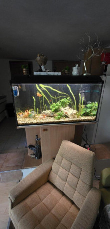 akvarium-200l-big-0