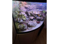 rohove-akvarium-200l-small-3