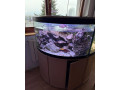 rohove-akvarium-200l-small-1